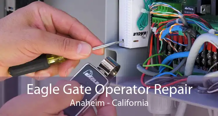 Eagle Gate Operator Repair Anaheim - California