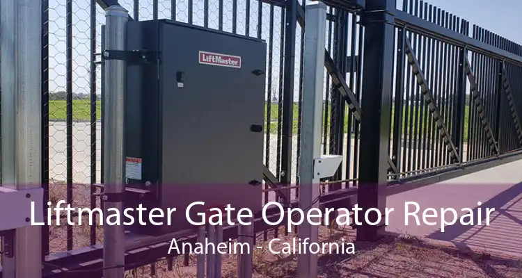 Liftmaster Gate Operator Repair Anaheim - California